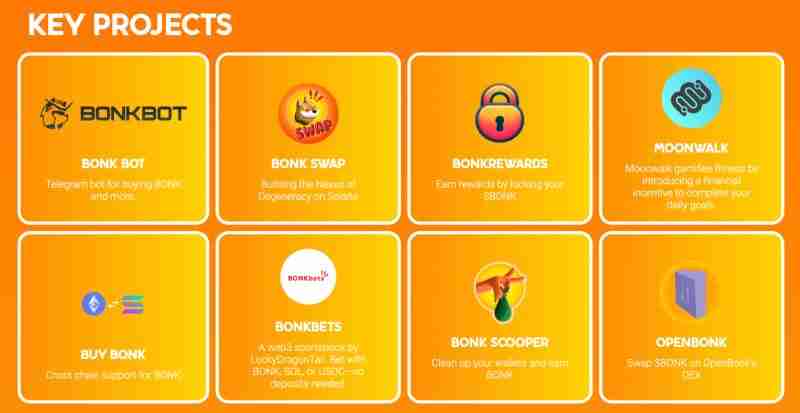 Bonk币能否到达$1? 一文探索Solana狗币的未来潜力